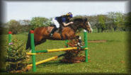 Southburn Livery Abby Jumping